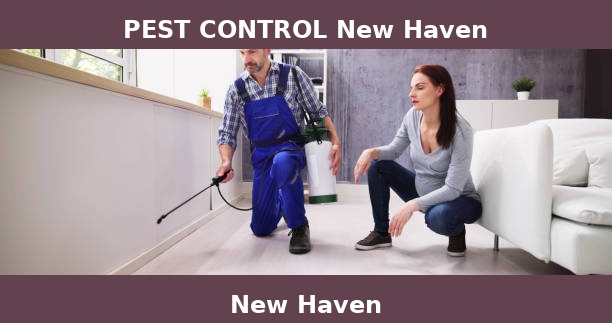 PEST CONTROL New Haven